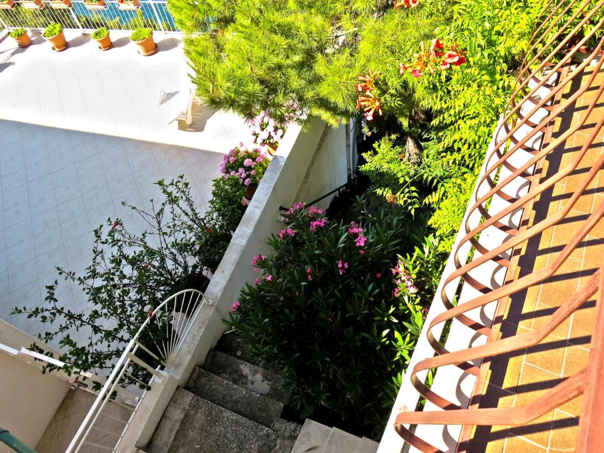 Apartments Pino ברלה מראה חיצוני תמונה