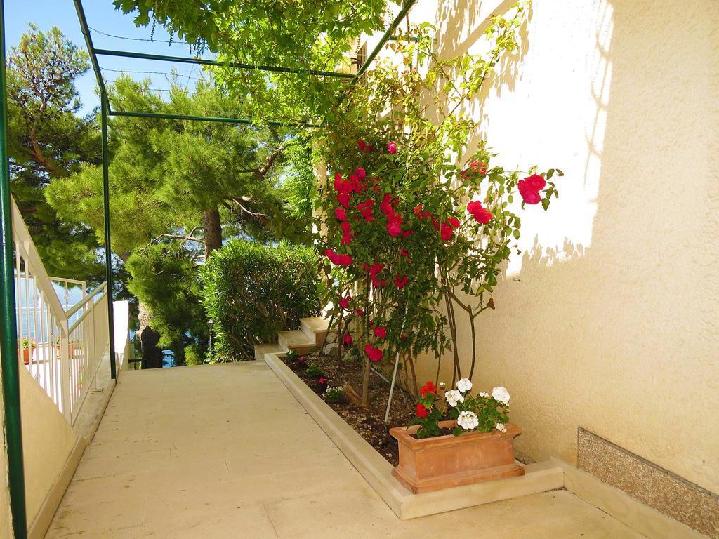 Apartments Pino ברלה מראה חיצוני תמונה