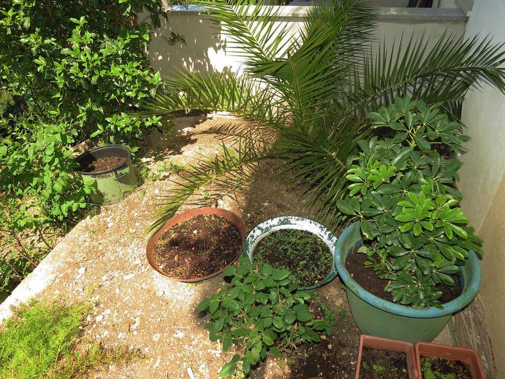 Apartments Pino ברלה מראה חיצוני תמונה