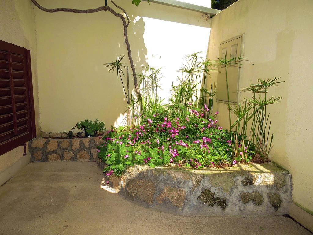Apartments Pino ברלה מראה חיצוני תמונה