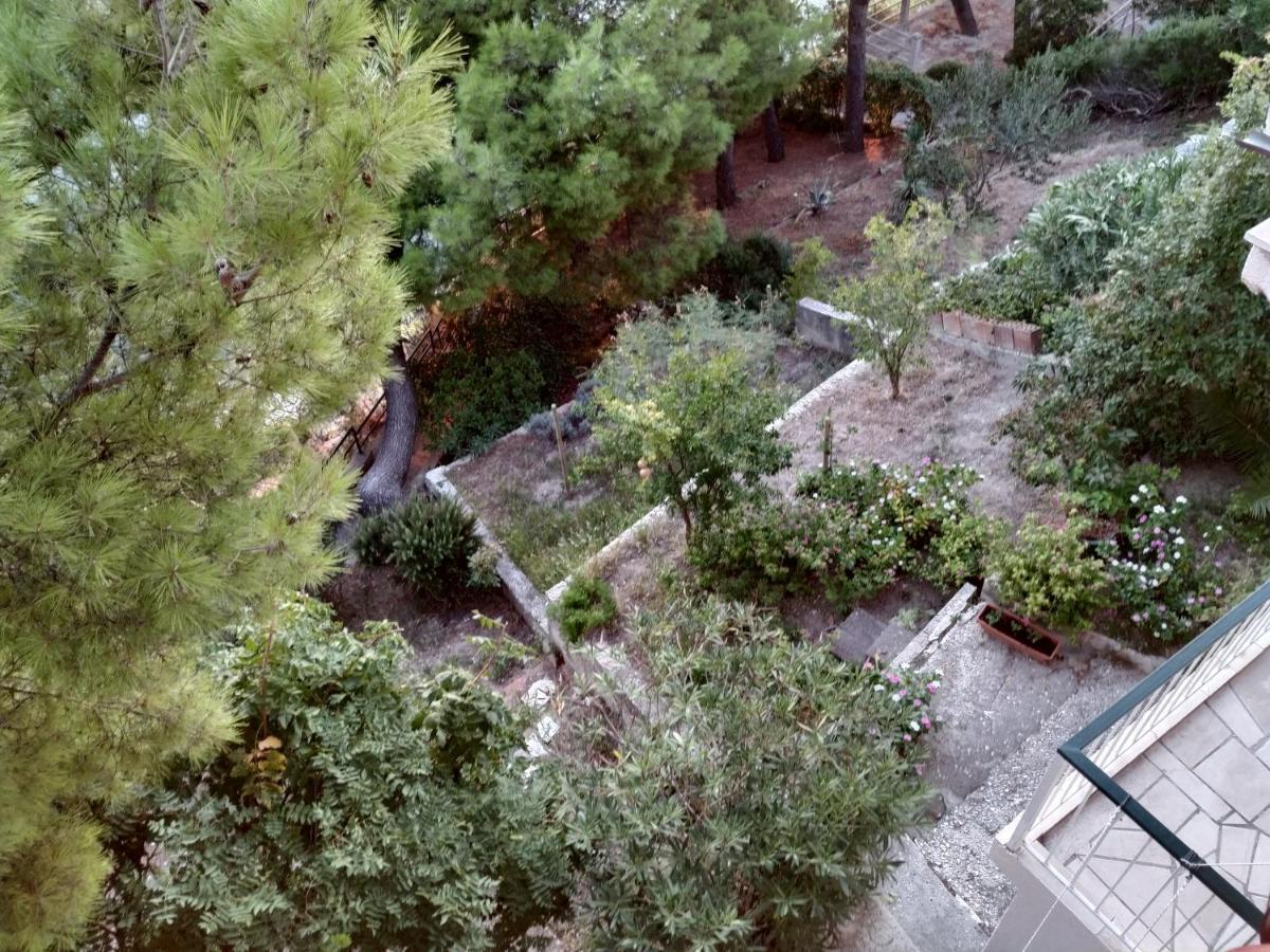 Apartments Pino ברלה מראה חיצוני תמונה